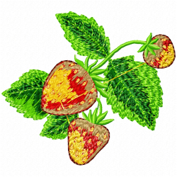 Strawberry Embroidery Design 12 Strawberry Embroidery Design 12